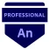 Adobe Certified Professional in Animate